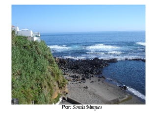 Por:  Soraia Marques 