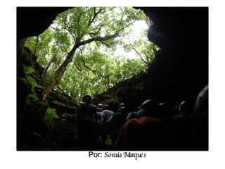 Por:  Soraia Marques 