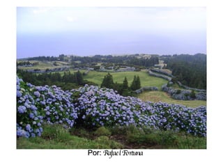 Por:  Rafael Fortuna 