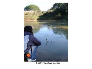 Por:  Carolina Santos 