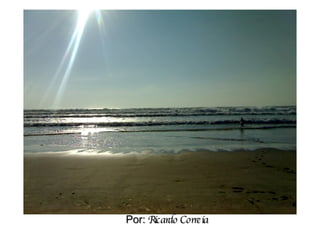 Por:  Ricardo Correia 