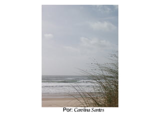 Por:  Carolina Santos 