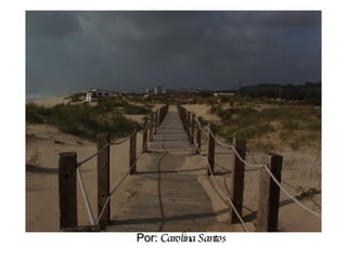 Por:  Carolina Santos 