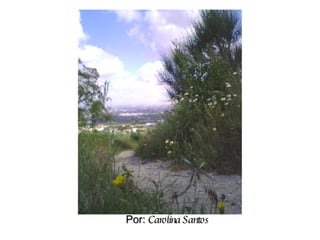 Por:  Carolina Santos 