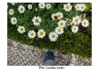 Por:  Carolina Santos 