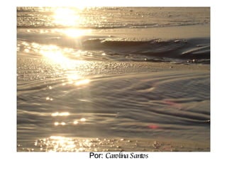 Por:  Carolina Santos 