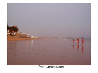 Por:  Carolina Santos 