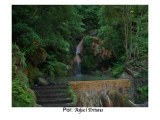 Por:  Rafael Fortuna 