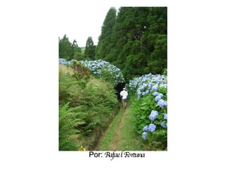 Por:  Rafael Fortuna 