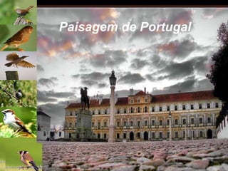 Paisagem de Portugal 