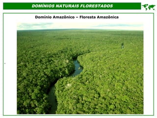 '
DOMÍNIOS NATURAIS FLORESTADOS

Domínio Amazônico – Floresta Amazônica
 