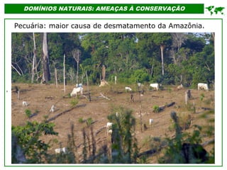 '
DOMÍNIOS NATURAIS: AMEAÇAS À CONSERVAÇÃO

Pecuária: maior causa de desmatamento da Amazônia.
 