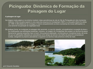 Picinguaba: Dinâmica de Formação da Paisagem do LugarA paisagem do lugarAs imagens nesta página e na próxima mostram vistas panorâmicas da orla da Vila de Picinguaba em dois momentos distintos. A foto na parte superior é uma cópia dos arquivos do Condephaat (1983?), e a da parte inferior foi obtida em 1999. A dificuldade em se conseguir o mesmo enquadramento se deve a presença de novas edificações e a uma sensível recuperação da vegetação local.De qualquer forma, as mudanças na paisagem são sensíveis, no que diz respeito, principalmente à ocupação da área e às modificações nas edificações existentes. Inclusive, na imagem do Condephaat não existem os ranchos de pesca tipicamente caiçaras presentes hoje no local. Uma possível explicação, corroborada por moradores locais, dá conta de que as edificações utilizadas por pescadores como abrigo de barcos e da tralha de pesca foi comprada por turistas, obrigando os próprios pescadores a erguerem os ranchos mais próximos à linha de maré.prof. Eduardo Geraldes