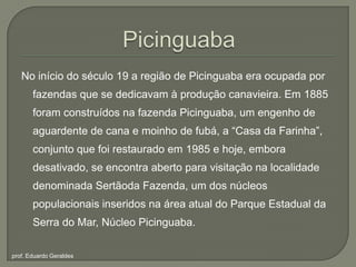 PicinguabaNo início do século 19 a região de Picinguaba era ocupada por fazendas que se dedicavam à produção canavieira. Em 1885 foram construídos na fazenda Picinguaba, um engenho de aguardente de cana e moinho de fubá, a “Casa da Farinha”, conjunto que foi restaurado em 1985 e hoje, embora desativado, se encontra aberto para visitação na localidade denominada Sertãoda Fazenda, um dos núcleos populacionais inseridos na área atual do Parque Estadual da Serra do Mar, Núcleo Picinguaba.prof. Eduardo Geraldes