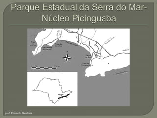 Parque Estadual da Serra do Mar Núcleo Picinguabaprof. Eduardo Geraldes