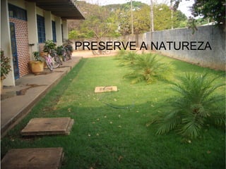 PRESERVE A NATUREZA
 