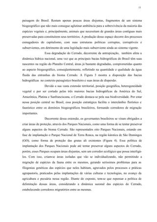 11




paisagem do Brasil. Restam apenas poucas áreas disjuntas, fragmentos de um sistema
biogeográfico que não mais consegue aglutinar ambiência para a sobrevivência da maioria das
espécies vegetais e, principalmente, animais que necessitam de grandes áreas contíguas mais
preservadas para constituírem seus territórios. A produção desse espaço decorre dos processos
esmagadores do capitalismo, com suas estruturas políticas corruptas, corruptíveis e
subservientes, em detrimento de uma legislação mais subserviente ainda ao sistema vigente.
                 Essa degradação do Cerrado, decorrente da antropização, também afeta a
dinâmica hídrica nacional, uma vez que as principais bacias hidrográficas do Brasil têm suas
nascentes na região do Planalto Central, áreas já bastante degradadas, comprometidas quanto
ao aspecto biogeográfico, conseqüentemente, refletindo na quantidade e qualidade da água
fluida das entranhas do bioma Cerrado. A Figura 3 mostra a disposição das bacias
hidrográficas no contexto paisagístico brasileiro e suas áreas de dispersão.
                 Devido a sua vasta extensão territorial, posição geográfica, heterogeneidade
vegetal e por ser cortado pelas três maiores bacias hidrográficas da América do Sul,
Amazônica, Platina e Sanfranciscana, o Cerrado destaca-se pela sua biodiversidade. Por estar
nessa posição central no Brasil, essa posição estratégica facilita o intercâmbio florístico e
faunístico entre os domínios biogeográficos brasileiros, formando corredores de migração
importantes.
                 Decorrente dessa extensão, os governantes brasileiros se viram obrigados a
criar áreas de proteção, através dos Parques Nacionais, como uma forma de se tentar preservar
alguns aspectos do bioma Cerrado. São representados oito Parques Nacionais, estando em
fase de implantação o Parque Nacional de Terra Ronca, na região kárstica de São Domingos
(GO), como forma de proteção das grutas ali existentes (Figura 4). Essa política de
implantação dos Parques Nacionais pode até tentar preservar alguns aspectos do Cerrado,
porém, esses Parques ocupam áreas disjuntas, sem um corredor ecológico que possa interligá-
los. Com isso, criam-se áreas isoladas que vão se individualizando, não permitindo a
migração de espécies da fauna entre os mesmos, gerando seríssimos problemas para as
filogenias genéticas das espécies que neles habitam, agravados pelos processos e práticas
agropastoris, praticados pelas implantações de várias culturas e tecnologias, no avanço da
agricultura e pecuária nessa região. Diante do exposto, tem-se que repensar a política de
delimitação dessas áreas, considerando a dinâmica sazonal das espécies do Cerrado,
estabelecendo corredores migratórios entre as mesmas.
 