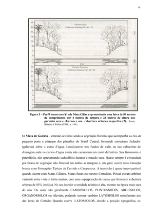 16




     Figura 5 – Perfil transversal (1) de Mata Ciliar representando uma faixa de 80 metros
                 de comprimento por 4 metros de largura e 28 metros de altura nos
                 períodos seco e chuvoso e sua cobertura arbórea respectiva (2). Fonte:
                 Ribeiro e Walter (1998, p. 106).



b) Mata de Galeria – entende-se como sendo a vegetação florestal que acompanha os rios de
pequeno porte e córregos dos planaltos do Brasil Central, formando corredores fechados
(galerias) sobre o curso d’água. Localizam-se nos fundos de vales ou nas cabeceiras de
drenagem onde os cursos d’água ainda não escavaram um canal definitivo. Sua fisionomia é
perenifólia, não apresentando caducifólia durante a estação seca. Quase sempre é circundada
por faixas de vegetação não florestal em ambas as margens e, em geral, ocorre uma transição
brusca com Formações Típicas de Cerrado e Campestres. A transição é quase imperceptível
quando ocorre com Matas Ciliares, Matas Secas ou mesmo Cerradões. Possui estrato arbóreo
variando entre vinte e trinta metros, com uma superposição de copas que fornecem cobertura
arbórea de 85% (média). No seu interior a umidade relativa é alta, mesmo na época mais seca
do ano. Os solos são geralmente CAMBISSOLOS, PLINTOSSOLOS, ARGISSOLOS,
ORGANOSSOLOS ou Aluviais, podendo ocorrer também LATOSSOLOS semelhantes aos
das áreas de Cerrado. Quando ocorre LATOSSOLOS, devido a posição topográfica, os
 