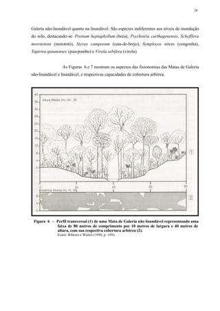 18




Galeria não-Inundável quanto na Inundável. São espécies indiferentes aos níveis de inundação
do solo, destacando-se: Protium heptaphyllum (breu), Psychotria carthagenensis, Schefflera
morototoni (morototó), Styrax camporum (cuia-de-brejo), Symplocos nitens (congonha),
Tapirira guianenses (pau-pombo) e Virola sebifera (virola).


                 As Figuras 6 e 7 mostram os aspectos das fisionomias das Matas de Galeria
não-Inundável e Inundável, e respectivas capacidades de cobertura arbórea.




 Figura 6 – Perfil transversal (1) de uma Mata de Galeria não Inundável representando uma
            faixa de 80 metros de comprimento por 10 metros de largura e 40 metros de
            altura, com sua respectiva cobertura arbórea (2).
              Fonte: Ribeiro e Walter (1998, p. 109).
 