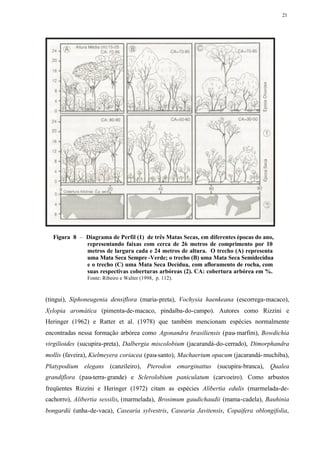 21




  Figura 8 – Diagrama de Perfil (1) de três Matas Secas, em diferentes épocas do ano,
             representando faixas com cerca de 26 metros de comprimento por 10
             metros de largura cada e 24 metros de altura. O trecho (A) representa
             uma Mata Seca Sempre -Verde; o trecho (B) uma Mata Seca Semidecídua
             e o trecho (C) uma Mata Seca Decídua, com afloramento de rocha, com
             suas respectivas coberturas arbóreas (2). CA: cobertura arbórea em %.
               Fonte: Ribeiro e Walter (1998, p. 112).



(tingui), Siphoneugenia densiflora (maria-preta), Vochysia haenkeana (escorrega-macaco),
Xylopia aromática (pimenta-de-macaco, pindaíba-do-campo). Autores como Rizzini e
Heringer (1962) e Ratter et al. (1978) que também mencionam espécies normalmente
encontradas nessa formação arbórea como Agonandra brasiliensis (pau- marfim), Bowdichia
virgilioides (sucupira-preta), Dalbergia miscolobium (jacarandá-do-cerrado), Dimorphandra
mollis (faveira), Kielmeyera coriacea (pau-santo), Machaerium opacum (jacarandá- muchiba),
Platypodium elegans (canzileiro), Pterodon emarginattus (sucupira-branca), Qualea
grandiflora (pau-terra- grande) e Sclerolobium paniculatum (carvoeiro). Como arbustos
freqüentes Rizzini e Heringer (1972) citam as espécies Alibertia edulis (marmelada-de-
cachorro), Alibertia sessilis, (marmelada), Brosimum gaudichaudii (mama-cadela), Bauhinia
bongardii (unha-de-vaca), Casearia sylvestris, Casearia Javitensis, Copaifera oblongifolia,
 