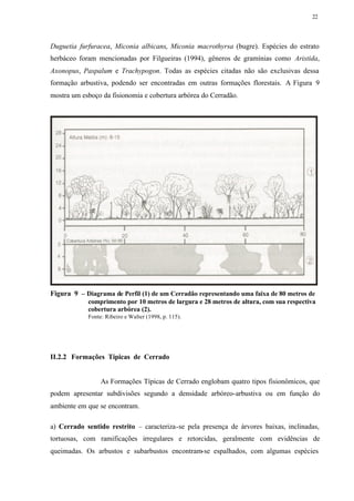 22




Duguetia furfuracea, Miconia albicans, Miconia macrothyrsa (bugre). Espécies do estrato
herbáceo foram mencionadas por Filgueiras (1994), gêneros de gramínias como Aristida,
Axonopus, Paspalum e Trachypogon. Todas as espécies citadas não são exclusivas dessa
formação arbustiva, podendo ser encontradas em outras formações florestais. A Figura 9
mostra um esboço da fisionomia e cobertura arbórea do Cerradão.




Figura 9 – Diagrama de Perfil (1) de um Cerradão representando uma faixa de 80 metros de
            comprimento por 10 metros de largura e 28 metros de altura, com sua respectiva
            cobertura arbórea (2).
            Fonte: Ribeiro e Walter (1998, p. 115).




II.2.2 Formações Típicas de Cerrado


                 As Formações Típicas de Cerrado englobam quatro tipos fisionômicos, que
podem apresentar subdivisões segundo a densidade arbóreo-arbustiva ou em função do
ambiente em que se encontram.

a) Cerrado sentido restrito – caracteriza-se pela presença de árvores baixas, inclinadas,
tortuosas, com ramificações irregulares e retorcidas, geralmente com evidências de
queimadas. Os arbustos e subarbustos encontram-se espalhados, com algumas espécies
 