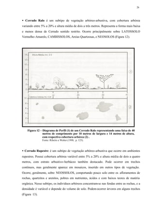 26




• Cerrado Ralo é um subtipo de vegetação arbóreo-arbustiva, com cobertura arbórea
variando entre 5% a 20% e altura média de dois a três metros. Representa a forma mais baixa
e menos densa de Cerrado sentido restrito. Ocorre principalmente sobre LATOSSOLO
Vermelho-Amarelo, CAMBISSOLOS, Areias Quartzosas, e NEOSOLOS (Figura 12).




    Figura 12 – Diagrama de Perfil (1) de um Cerrado Ralo representando uma faixa de 40
                metros de comprimento por 10 metros de largura e 14 metros de altura,
                com respectiva cobertura arbórea (2) .
               Fonte: Ribeiro e Walter (1998, p. 123).



• Cerrado Rupestre é um subtipo de vegetação arbóreo-arbustiva que ocorre em ambientes
rupestres. Possui cobertura arbórea variável entre 5% a 20% e altura média de dois a quatro
metros, com estrato arbustivo- herbáceo também destacado. Pode ocorrer em trechos
contínuos, mas geralmente aparece em mosaicos, inserido em outros tipos de vegetação.
Ocorre, geralmente, sobre NEOSSOLOS, comportando pouco solo entre os afloramentos de
rochas, quartzitos e arenitos, pobres em nutrientes, ácidos e com baixos teores de matéria
orgânica. Nesse subtipo, os indivíduos arbóreos concentram-se nas fendas entre as rochas, e a
densidade é variável e depende do volume de solo. Podem ocorrer árvores em alguns trechos
(Figura 13).
 