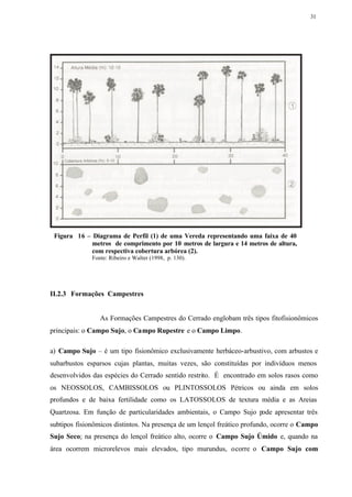 31




 Figura 16 – Diagrama de Perfil (1) de uma Vereda representando uma faixa de 40
             metros de comprimento por 10 metros de largura e 14 metros de altura,
             com respectiva cobertura arbórea (2).
              Fonte: Ribeiro e Walter (1998, p. 130).




II.2.3 Formações Campestres


                 As Formações Campestres do Cerrado englobam três tipos fitofisionômicos
principais: o Campo Sujo, o Campo Rupestre e o Campo Limpo.

a) Campo Sujo – é um tipo fisionômico exclusivamente herbáceo-arbustivo, com arbustos e
subarbustos esparsos cujas plantas, muitas vezes, são constituídas por indivíduos menos
desenvolvidos das espécies do Cerrado sentido restrito. É encontrado em solos rasos como
os NEOSSOLOS, CAMBISSOLOS ou PLINTOSSOLOS Pétricos ou ainda em solos
profundos e de baixa fertilidade como os LATOSSOLOS de textura média e as Areias
Quartzosa. Em função de particularidades ambientais, o Campo Sujo pode apresentar três
subtipos fisionômicos distintos. Na presença de um lençol freático profundo, ocorre o Campo
Sujo Seco; na presença do lençol freático alto, ocorre o Campo Sujo Úmido e, quando na
área ocorrem microrelevos mais elevados, tipo murundus, ocorre o Campo Sujo com
 