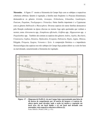 32




Murundus . A Figura 17 mostra a fisionomia do Campo Sujo com os subtipos e respectivas
coberturas arbóreas. Quanto à vegetação, a família mais freqüente é a Poaceae (Gramineae),
destacando-se os gêneros Aristida, Axonopus, Echinolaena, Ichnanthus, Laudetiopsis,
Panicum, Paspalum, Trachypogon e Tristachya. Outra família importante é a Cyperaceae
com os gêneros Bulbostylis e Rhyncophora. Diversas espécies de outras famílias destacam-se
pela floração exuberante na época chuvosa ou mesmo logo após queimadas que venham a
ocorrer, como Alstroemeria spp., Gomphrena officinalis, Griffinia spp., Hippeastrum spp. e
Paepalanthus spp.. Também são comuns as espécies dos gêneros Andira, Aspilia, Baccharis,
Crumenaria, Cuphea, Deianira, Diplusodon, Eryngium, Habenaria, Hyptis, Lippia, Mimosa,
Polygala, Piriqueta, Syagrus, Vernonia e Xyris. A composição florística e a importância
fitossociológica das espécies nos três subtipos do Campo Sujo podem diferir se o solo for bem
ou mal drenado, caracterizando a fisionomia da vegetação.




     Figura 17 – Diagrama de Perfil (1) de um Campo Sujo representando uma faixa de
                 40 metros de comprimento por 10 metros de largura e 6 metros de
                 altura (parte mais elevada), onde a seção (a) mostra a vegetação em
                 local seco, (b) em local úmido e (c) em local mal drenado com
                 murundus, com respectiva cobertura arbórea (2).
                  Fonte: Ribeiro e Walter (1998, p. 132).
 