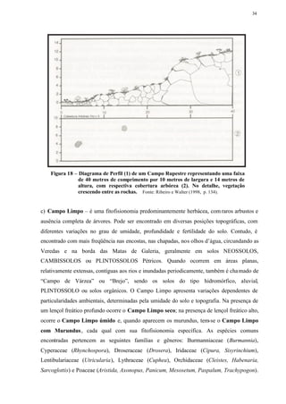 34




    Figura 18 – Diagrama de Perfil (1) de um Campo Rupestre representando uma faixa
                de 40 metros de comprimento por 10 metros de largura e 14 metros de
                altura, com respectiva cobertura arbórea (2). No detalhe, vegetação
                crescendo entre as rochas. Fonte: Ribeiro e Walter (1998, p. 134).


c) Campo Limpo – é uma fitofisionomia predominantemente herbácea, com raros arbustos e
ausência completa de árvores. Pode ser encontrado em diversas posições topográficas, com
diferentes variações no grau de umidade, profundidade e fertilidade do solo. Contudo, é
encontrado com mais freqüência nas encostas, nas chapadas, nos olhos d’água, circundando as
Veredas e na borda das Matas de Galeria, geralmente em solos NEOSSOLOS,
CAMBISSOLOS ou PLINTOSSOLOS Pétricos. Quando ocorrem em áreas planas,
relativamente extensas, contíguas aos rios e inundadas periodicamente, também é cha mado de
“Campo de Várzea” ou “Brejo”, sendo os solos do tipo hidromórfico, aluvial,
PLINTOSSOLO ou solos orgânicos. O Campo Limpo apresenta variações dependentes de
particularidades ambientais, determinadas pela umidade do solo e topografia. Na presença de
um lençol freático profundo ocorre o Campo Limpo seco; na presença de lençol freático alto,
ocorre o Campo Limpo úmido e, quando aparecem os murundus, tem-se o Campo Limpo
com Murundus , cada qual com sua fitofisionomia específica. As espécies comuns
encontradas pertencem as seguintes famílias e gêneros: Burmanniaceae (Burmannia),
Cyperaceae (Rhynchospora), Droseraceae (Drosera), Iridaceae (Cipura, Sisyrinchium),
Lentibulariaceae (Utricularia), Lythraceae (Cuphea), Orchidaceae (Cleistes, Habenaria,
Sarcoglottis) e Poaceae (Aristida, Axonopus, Panicum, Mesosetum, Paspalum, Trachypogon).
 