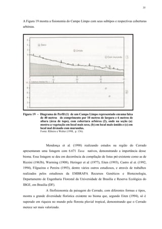 35




A Figura 19 mostra a fisionomia do Campo Limpo com seus subtipos e respectivas coberturas
arbóreas.




Figura 19 – Diagrama de Perfil (1) de um Campo Limpo representado em uma faixa
            de 40 metros de comprimento por 10 metros de largura e 6 metros de
            altura (área de topo), com cobertura arbórea (2), onde na seção (a)
            mostra a vegetação em local mais seco, (b) em local mais úmido e (c) em
            local mal drenado com murundus.
             Fonte: Ribeiro e Walter (1998, p. 136).




                  Mendonça et al. (1998) realizando estudos na região do Cerrado
apresentaram uma listagem com 6.671 Taxa               nativos, demonstrando a importância desse
bioma. Essa listagem se deu em decorrência da compilação de listas pré-existente como as de
Rizzini (1963b), Warming (1908), Heringer et al. (1977), Eiten (1993), Castro al et. (1992,
1994), Filgueiras e Pereira (1993), dentre vários outros estudiosos, e através de trabalhos
realizados pelos estudiosos da EMBRAPA Recursos Genéticos e Biotecnologia,
Departamento de Engenharia Florestal da Universidade de Brasília e Reserva Ecológica do
IBGE, em Brasília (DF).
                  A fitofisionomia da paisagem do Cerrado, com diferentes formas e tipos,
mostra a grande diversidade florística existente no bioma que, segundo Eiten (1994), só é
superado em riqueza no mundo pela floresta pluvial tropical, demonstrando que o Cerrado
merece ser mais valorizado.
 