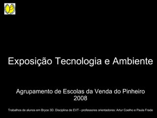 Exposição Tecnologia e Ambiente Agrupamento de Escolas da Venda do Pinheiro 2008 Trabalhos de alunos em Bryce 3D. Disciplina de EVT - professores orientadores: Artur Coelho e Paula Frade 