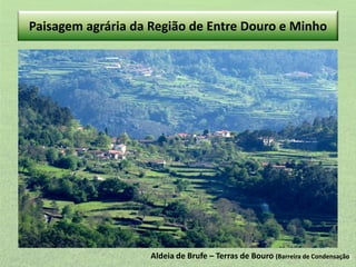 Paisagem agrária da Região de Entre Douro e Minho

Aldeia de Brufe – Terras de Bouro (Barreira de Condensação)

 