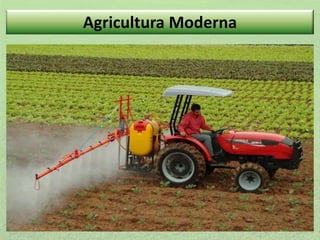 Agricultura Moderna

 