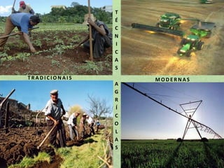 T
É
C
N
I
C
A
S
TRADICIONAIS
A
G
R
Í
C
O
L
A
S

MODERNAS

 