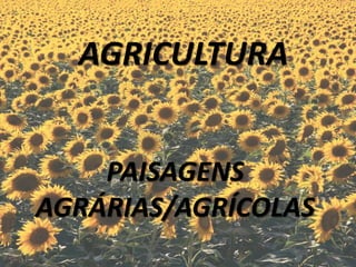 AGRICULTURA 
PAISAGENS AGRÁRIAS/AGRÍCOLAS  