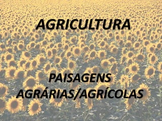 AGRICULTURA
PAISAGENS
AGRÁRIAS/AGRÍCOLAS

 