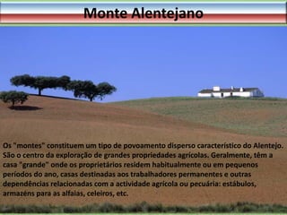 Monte Alentejano

Os "montes" constituem um tipo de povoamento disperso característico do Alentejo.
São o centro da exploração de grandes propriedades agrícolas. Geralmente, têm a
casa "grande" onde os proprietários residem habitualmente ou em pequenos
períodos do ano, casas destinadas aos trabalhadores permanentes e outras
dependências relacionadas com a actividade agrícola ou pecuária: estábulos,
armazéns para as alfaias, celeiros, etc.

 