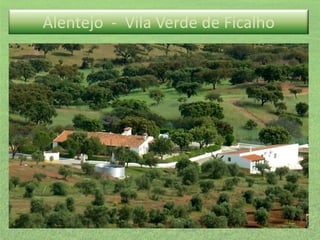 Alentejo - Vila Verde de Ficalho

 