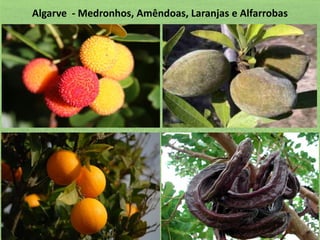 Algarve - Medronhos, Amêndoas, Laranjas e Alfarrobas

 