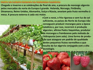 Chegado o Inverno e as celebrações de final de ano, a procura do morango algarvio
pelos mercados do norte da Europa é grande. Holanda, Noruega, Finlândia,
Dinamarca, Reino Unidos, Alemanha, Suíça e Rússia, anseiam pelo fruto vermelho à
mesa. A procura externa é cada vez maior.
«Com a neve, o frio rigoroso e sem luz do sol
suficiente, os países do Norte da Europa não
conseguem produzir morangos para a época
natalícia e, por isso, recorrem à produção
algarvia», afirma Pedro Vaquinhas, produtor
de morangos e framboesas pelo método de
hidroponia (sem solo). Uma forma de produção que assegura um padrão de qualidade
destes pequenos frutos vermelhos e que
resulta da luz algarvia conjugada com a alta
tecnologia.
Café Portugal | quinta-feira, 30 de Dezembro de 2010

 