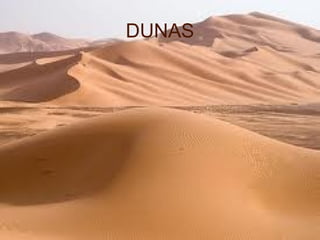 DUNAS