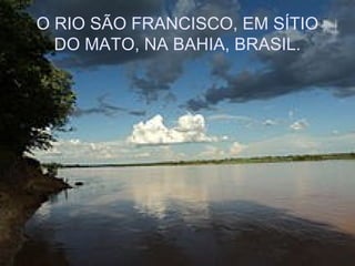O RIO SÃO FRANCISCO, EM SÍTIO
DO MATO, NA BAHIA, BRASIL.