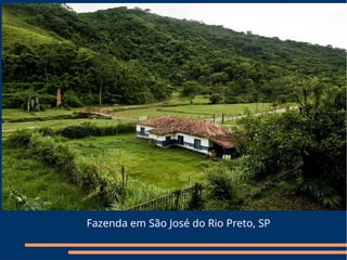 Fazenda em São José do Rio Preto, SP
 