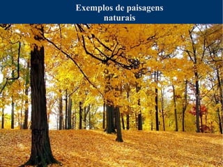 Exemplos de paisagens
naturais
 