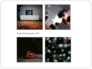 Carlos M. Fernandes, 2012
 