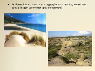 • As dunas litorais, com a sua vegetação característica, constituem
outra paisagem sedimentar típica do nosso país.
 
