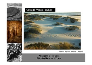 Ação do Vento - dunas 
Dunas de São Jacinto - Aveiro 
Paisagens Geológicas 
Ciências Naturais – 7º ano 
 