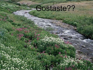 Gostaste?? 