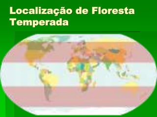 Localização de Floresta
Temperada
 
