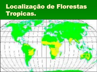 Localização de Florestas
Tropicas.
 